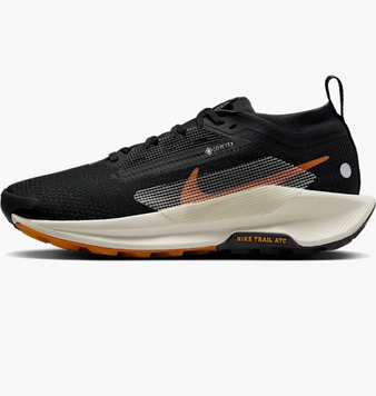 Кросівки Nike pegasus trail 5 gore-tex FQ0912-005 фото
