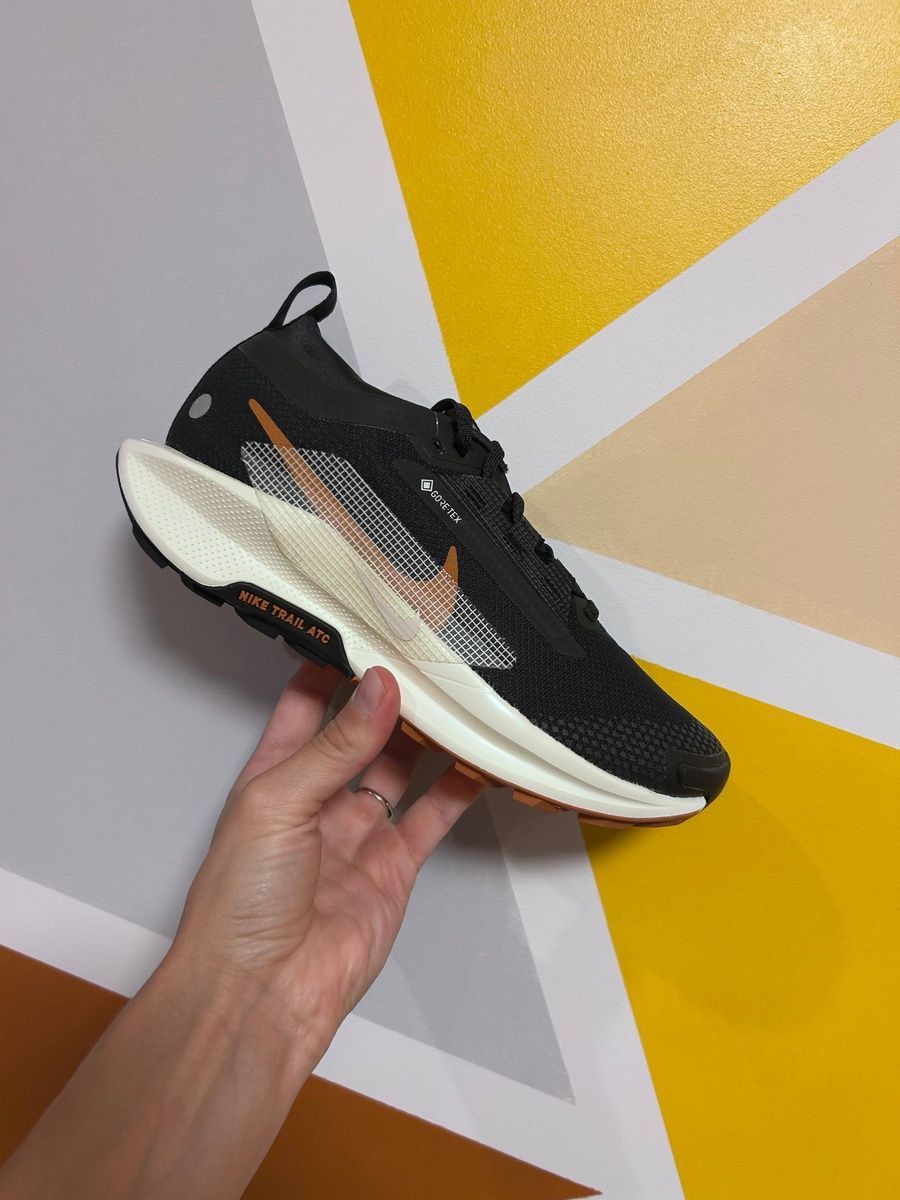 Кросівки Nike pegasus trail 5 gore-tex FQ0912-005 фото