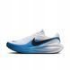 Кросівки  Nike revolution 8 HJ9198-103 фото 1