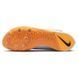 Шипівки Nike Long Jump Elite Unisex CT0079-101 фото 2