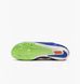 Шипівки Nike Rival Sprint Unisex DC8753-401 фото 4
