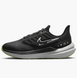 Кросівки Nike air winflo shield DM1104-001 фото 1