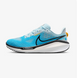 Кросівки Nike vomero 17 FB1309-401 фото 1