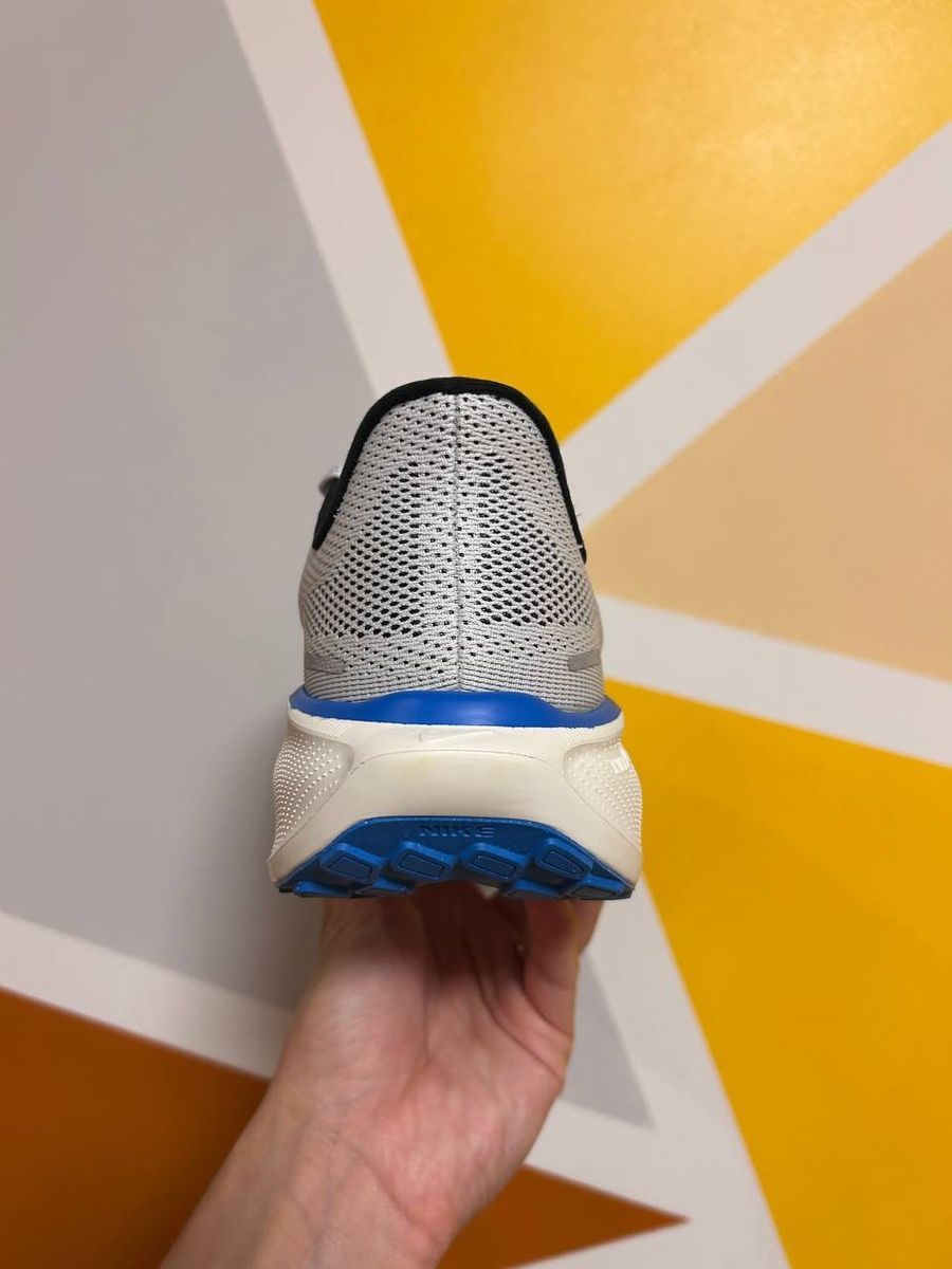 Кросівки Nike air zoom pegasus 41 HV5218-100 фото