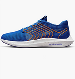 Кросівки Nike Pegasus Turbo Next Nature FD0717-400 фото