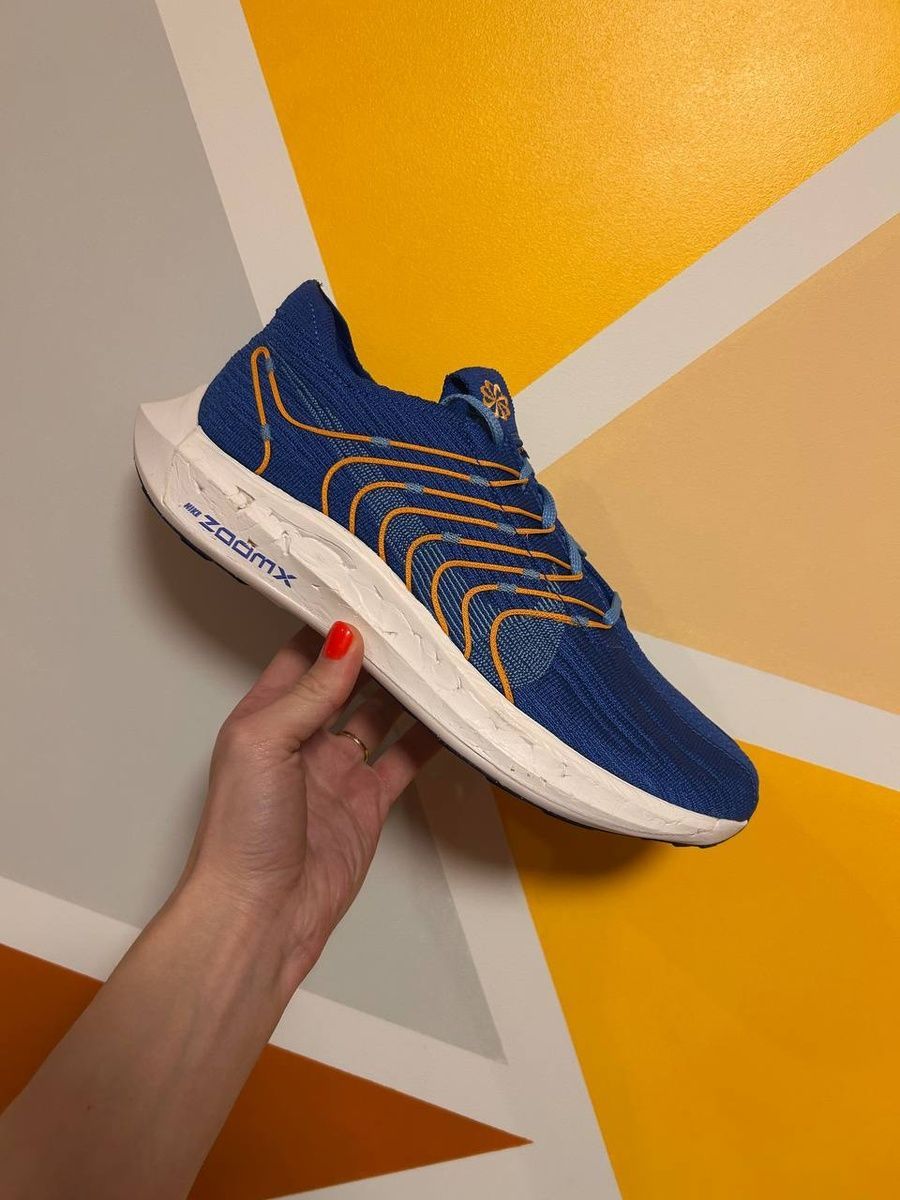 Кросівки Nike Pegasus Turbo Next Nature FD0717-400 фото