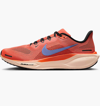 Кросівки Nike air zoom pegasus 41 GS FN5041-600 фото
