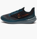 Кросівки Nike air winflo shield DM1106-002 фото 1