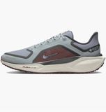 Кросівки Nike air zoom pegasus 41 gore-tex FQ1356-003 фото