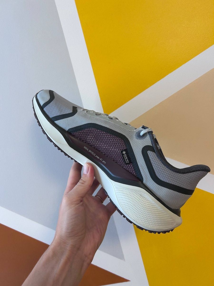 Кросівки Nike air zoom pegasus 41 gore-tex FQ1356-003 фото
