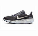 Кросівки Nike Zoom Pegasus 41  COLORADO FZ5109-001 фото