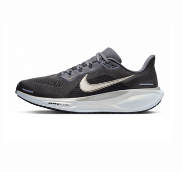 Кросівки Nike Zoom Pegasus 41  COLORADO FZ5109-001 фото