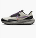 Кросівки Nike air winflo shield DM1104-002 фото 1