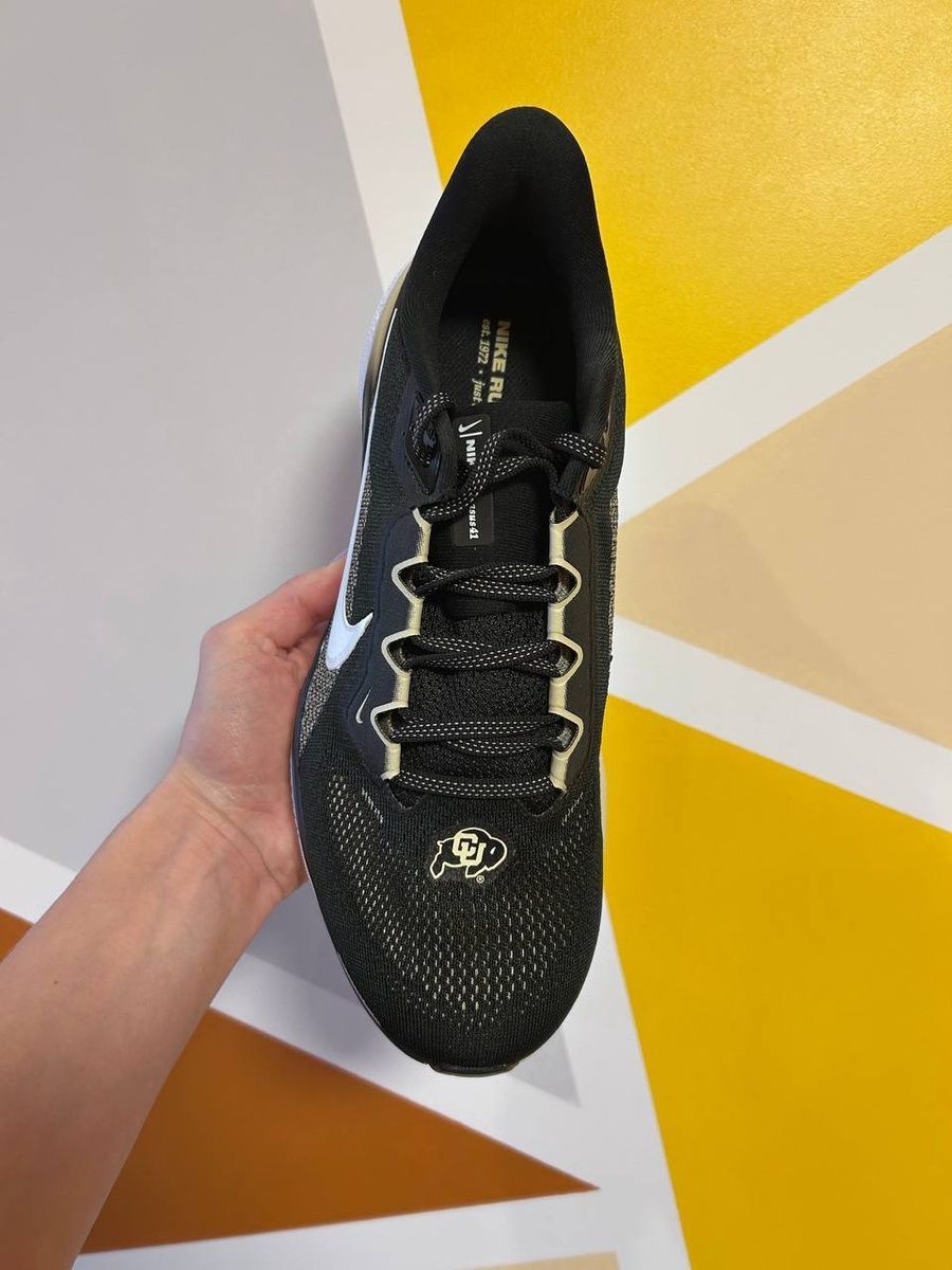 Кросівки Nike Zoom Pegasus 41  COLORADO FZ5109-001 фото