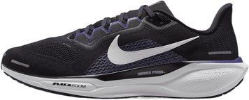 Nike Zoom Pegasus 41 TCU FZ5143-001 фото