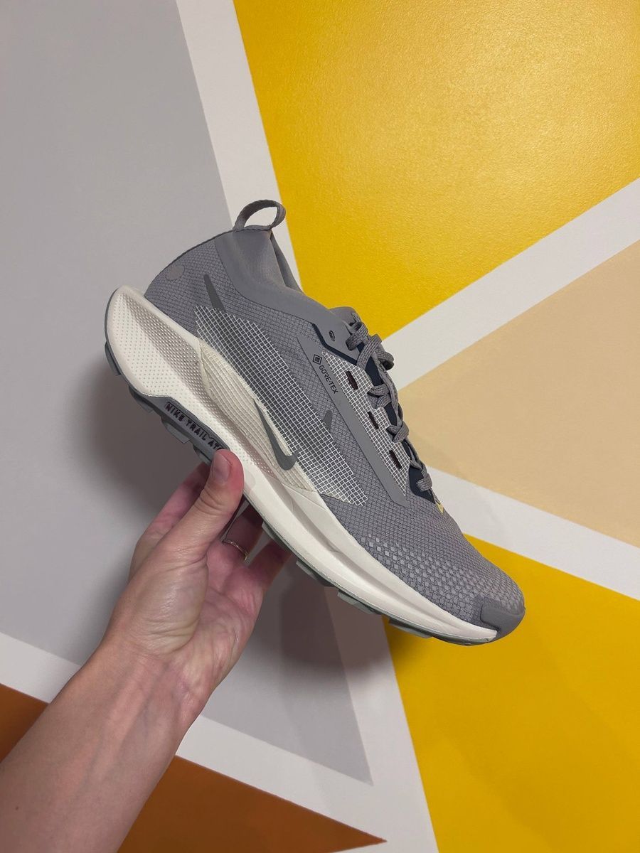 Кросівки Nike pegasus trail 5 gore-tex FQ0908-006 фото