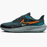 Кросівки Nike Air Zoom Pegasus Shield DO7625-300 фото