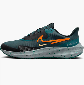 Кросівки Nike Air Zoom Pegasus Shield DO7625-300 фото