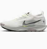 Кросівки Nike pegasus trail 5 gore-tex FQ0908-102 фото