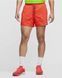 Шорти Nike Flex Stride 5" Brief-Lined CJ5453-643 фото 1