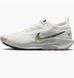 Кросівки Nike pegasus trail 5 gore-tex FQ0908-102 фото 1
