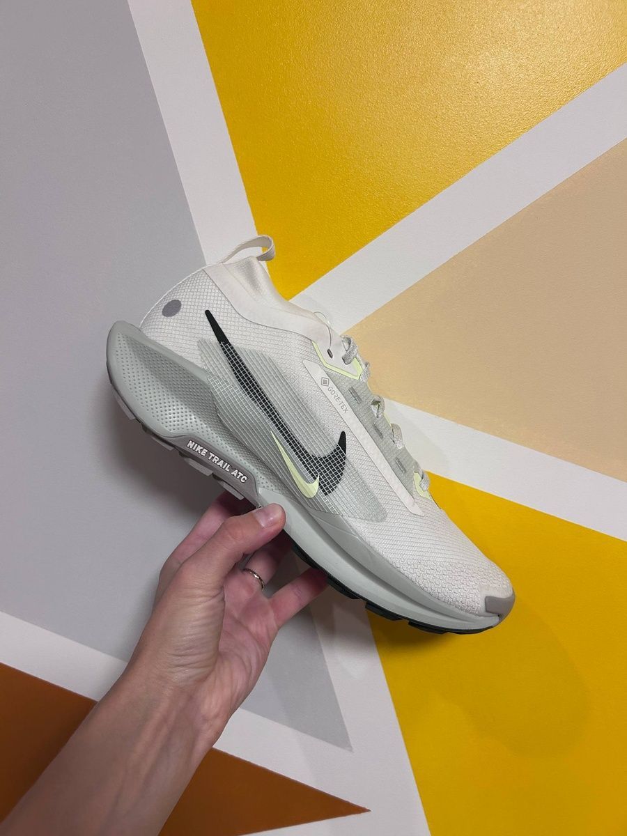 Кросівки Nike pegasus trail 5 gore-tex FQ0908-102 фото