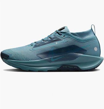Кросівки Nike pegasus trail 5 gore-tex FQ0908-005 фото