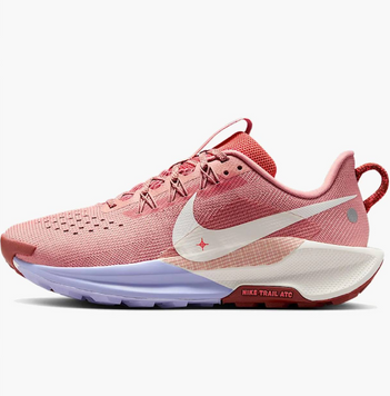 Кросівки Nike ReactX Pegasus Trail 5 DV3865-601 фото