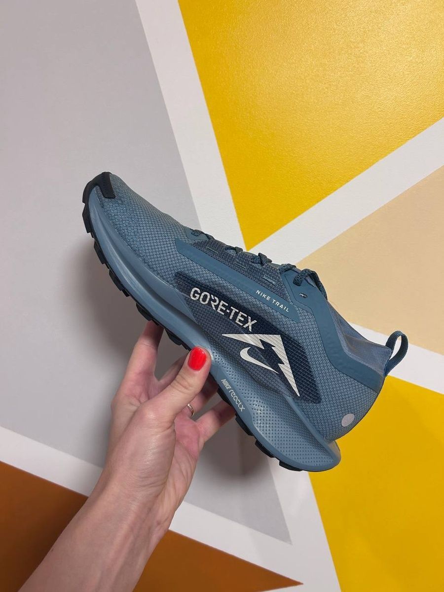 Кросівки Nike pegasus trail 5 gore-tex FQ0908-005 фото