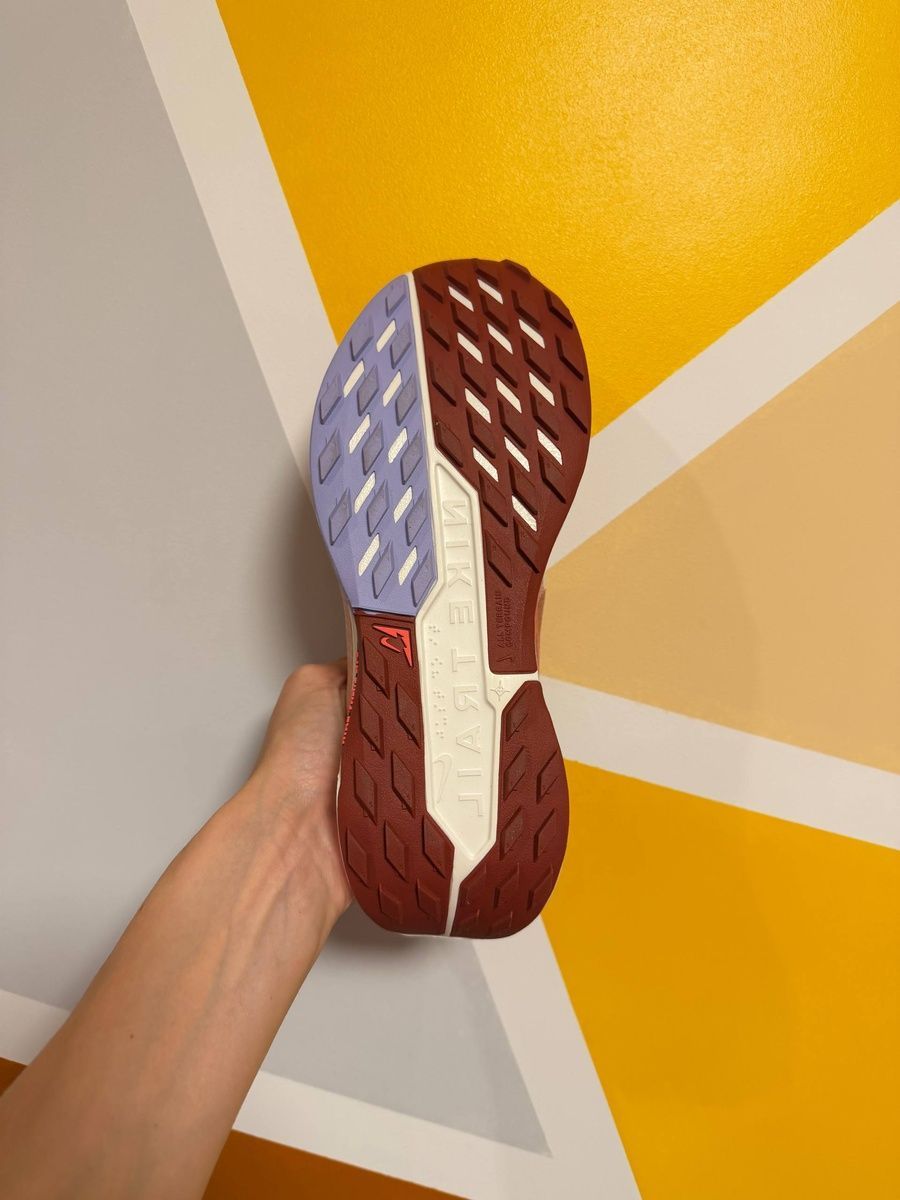 Кросівки Nike ReactX Pegasus Trail 5 DV3865-601 фото