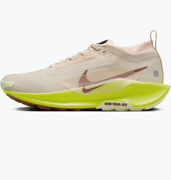 Кросівки Nike pegasus trail 5 gore-tex FQ0912-101 фото