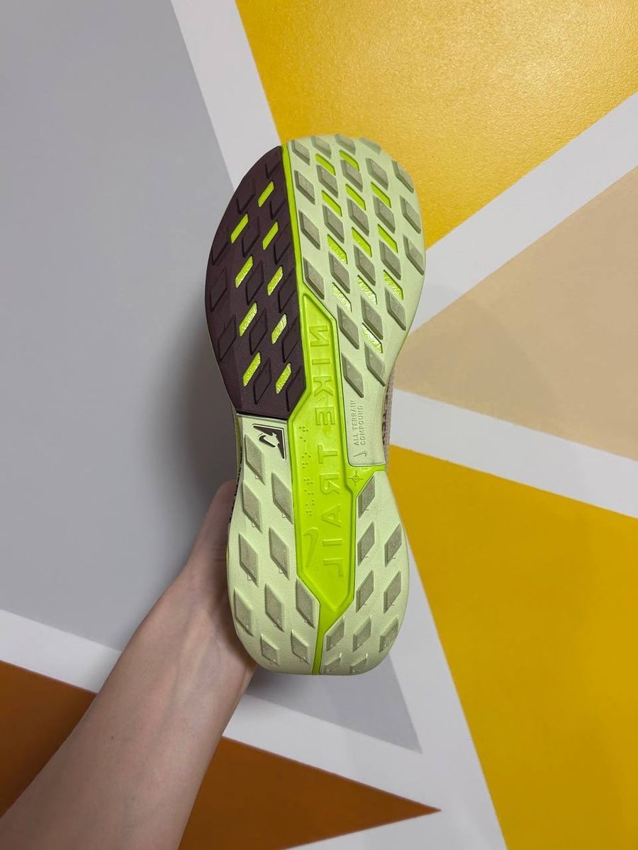 Кросівки Nike pegasus trail 5 gore-tex FQ0912-101 фото